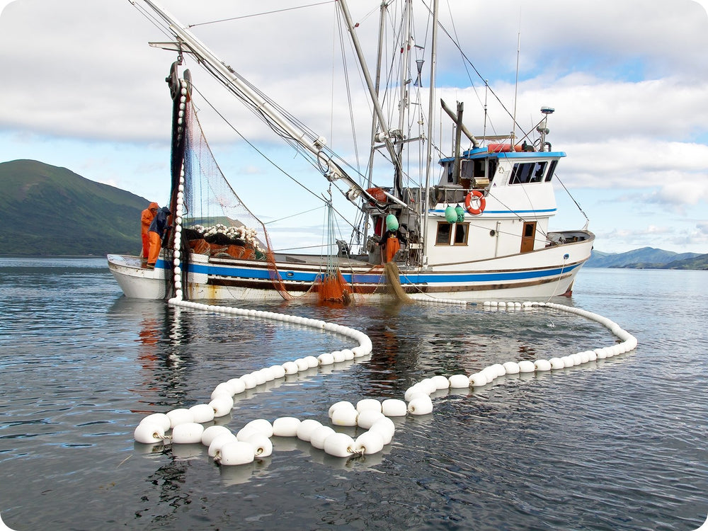 salmon seiner in Bristol Bay, AK