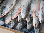 misc. fish on ice - shop all products