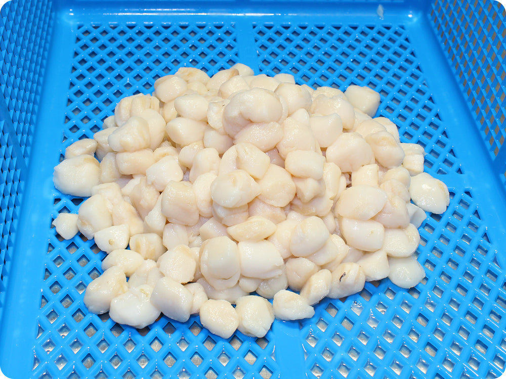 Bay Scallops (wild, prev-froz) by the pound