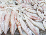 Squid Tubes and Tents (wild) by the pound