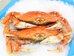 Fresh Whole-Cooked Dungeness Crab by the 2-pound crab