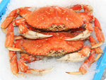 20 Each, Fresh Whole-Cooked Dungeness Crab