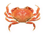 Dungeness Crab (whole-cooked, prev-froz) by the 2-pound crab