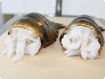 North Atlantic Lobster Tails (Colossal) by the pound
