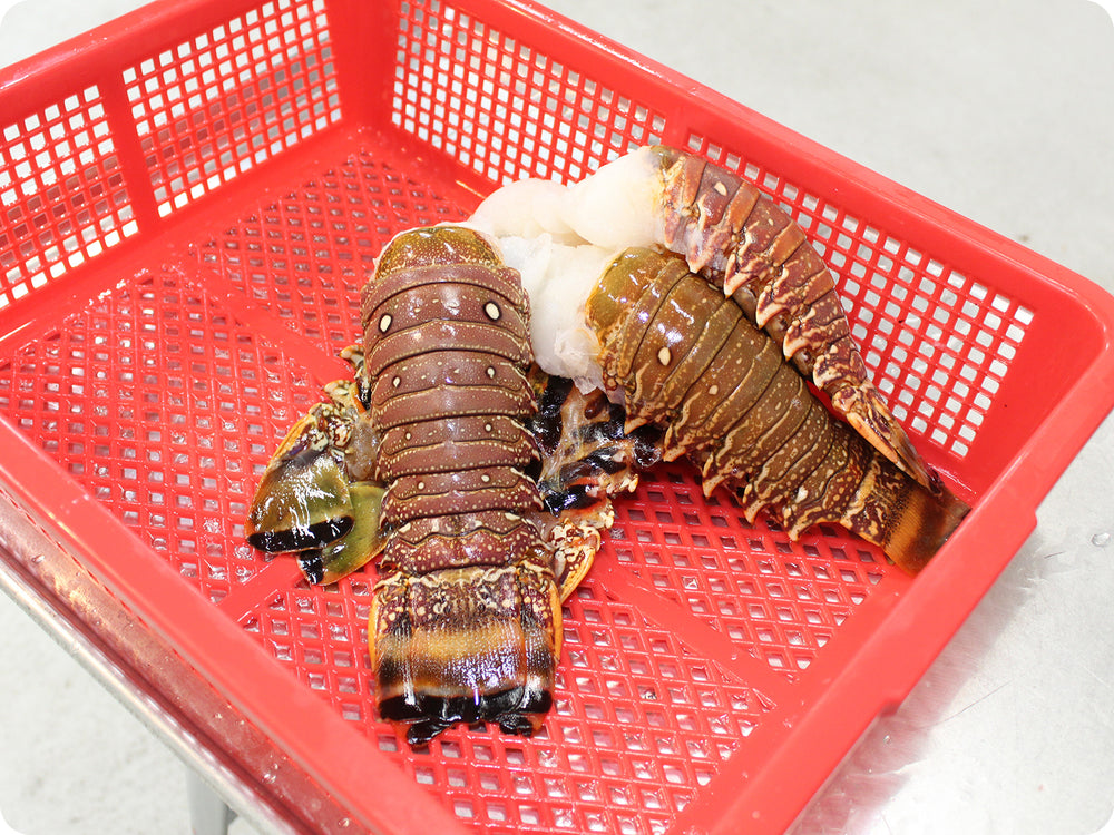 Caribbean Lobster Tails (large) by the pound