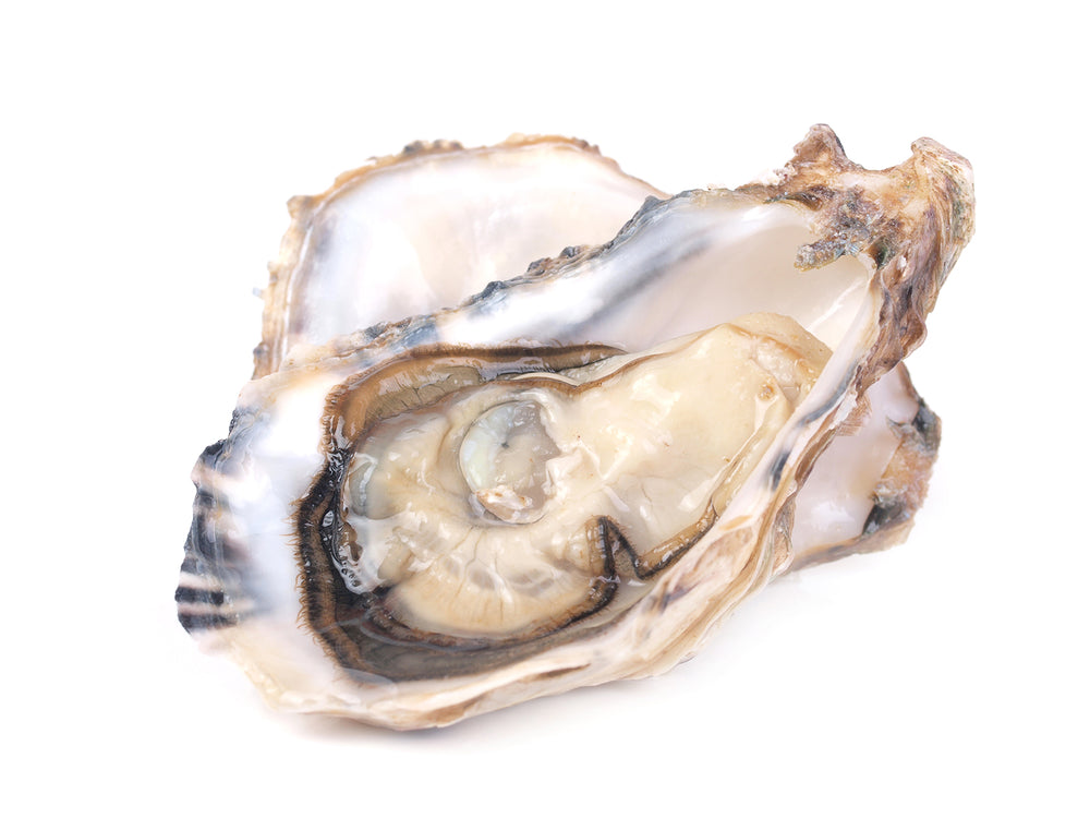 Fanny Bay Oysters by the dozen