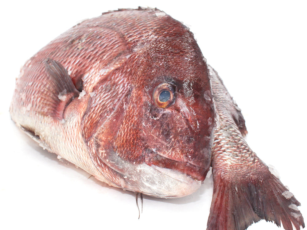 Red Snapper Fillet (fresh, wild) by the pound
