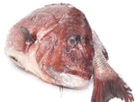 Red Snapper Fillet (fresh, wild) by the pound