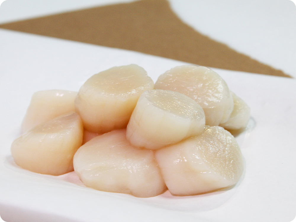 East Coast Sea Scallops (wild, U/10ct.) by the pound