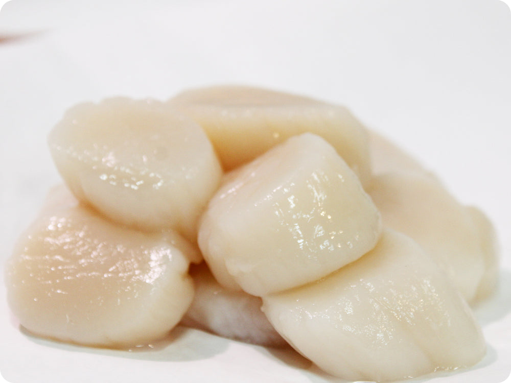 East Coast Sea Scallops (wild, U/10ct.) by the pound