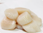 East Coast Sea Scallops (wild, U/10ct.) by the pound