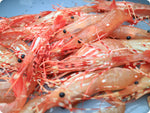 Alaskan Spot Prawns (XL) by the pound